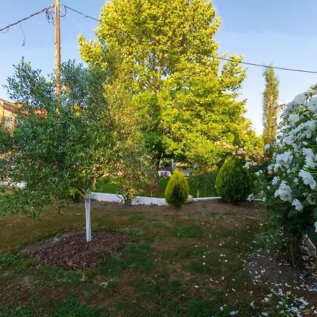 Apartment Aristotelis 3- Kanalia, Corfu *